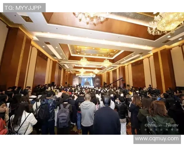 新彤盛:引领未来科技潮流的创新企业典范与发展之路探讨