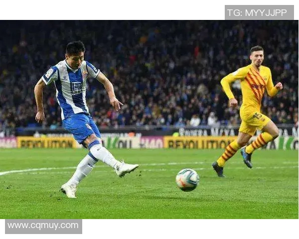 京多安的足球之路：从德甲新星到英超冠军的传奇旅程